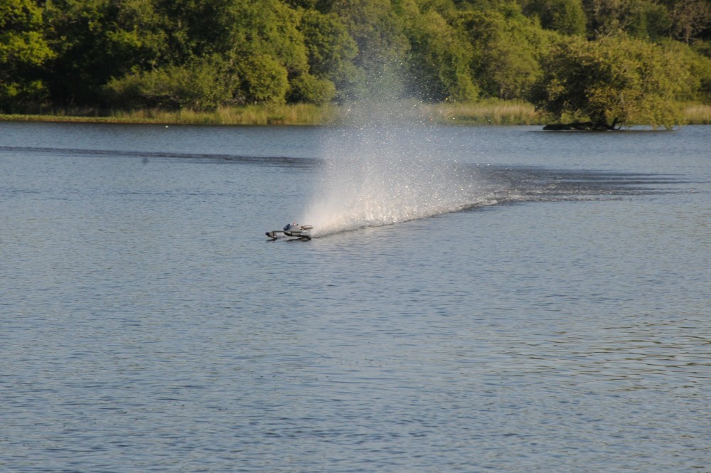 DSC_1339.jpg