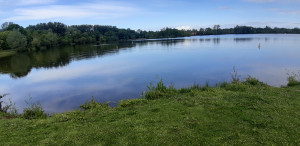 20210523_100520.jpg