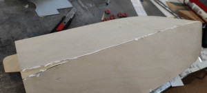 IMG_20220113_172656.jpg