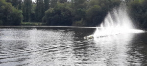20240907_154836.thumb.jpg.3fdb02814a487e633823967c401f3c7f.jpg