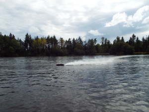 DSCF9779.thumb.JPG.1676fc6a75f68d701bbd4f30cf0924df.JPG