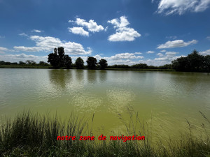 IMG_9010a.thumb.jpg.c3cf73b03cb926de2106620eb046f496.jpg